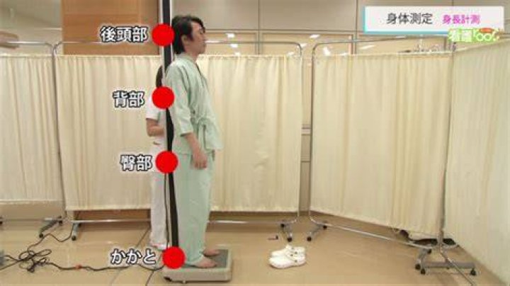 「my身長」から始める：自分の身長を正確に測り、意味を理解する